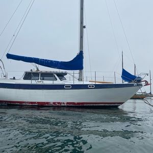 Meet your Posher, Elsa